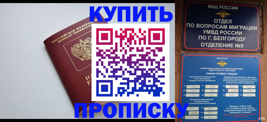 прописка регистрация в Железногорске